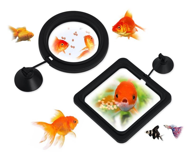 DS.DISTINCTIVE STYLE DS. DISTINCTIVE STYLE Fish Feeding Ring 2 Pieces Aquarium and Tank Floating Rings Food Feeders with Suction Cup(Black) - Image 1